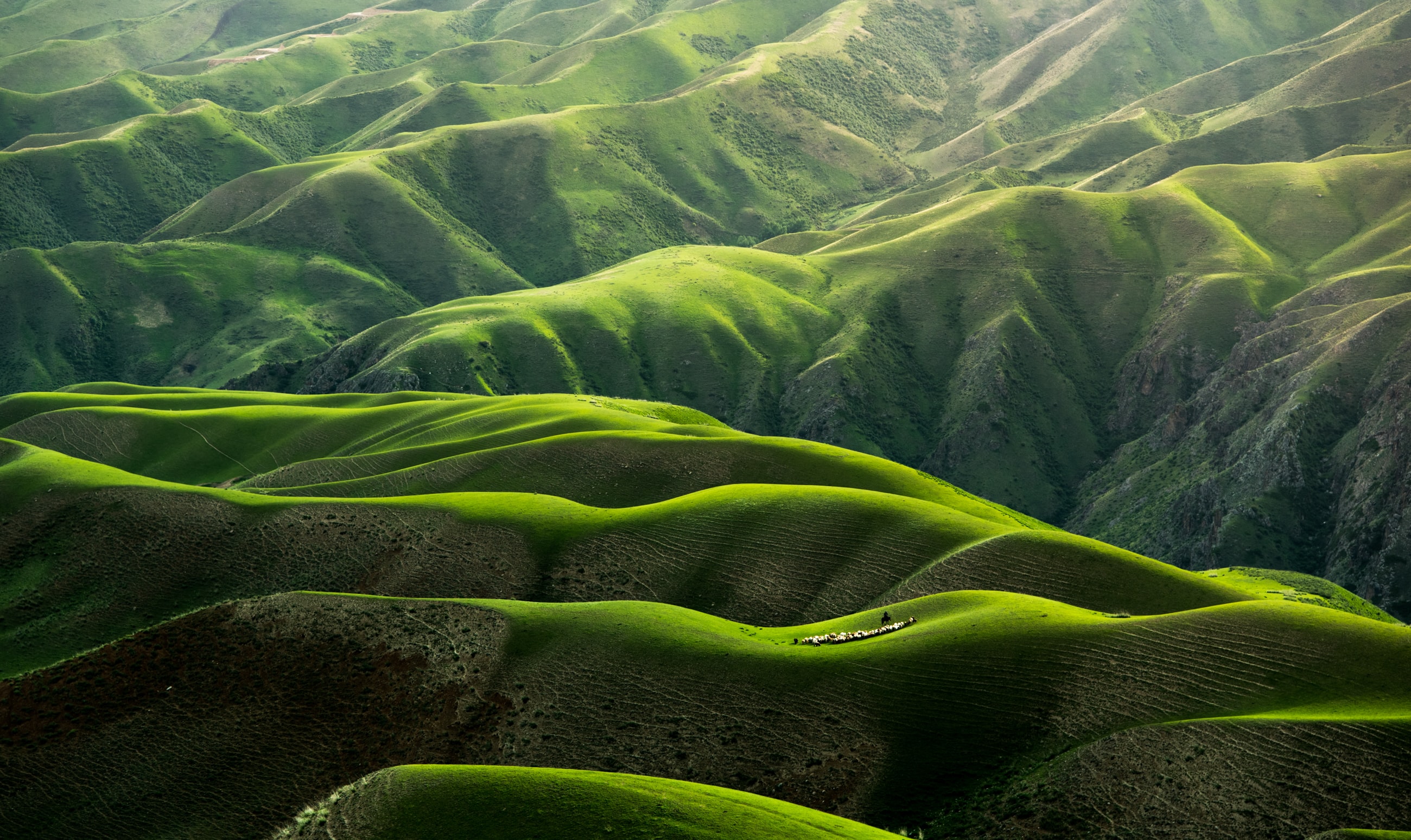 NATURE_meng_unsplash